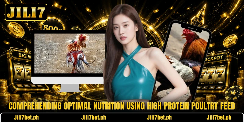 Comprehending optimal nutrition using high protein poultry feed Comprehending optimal nutrition using high protein poultry feed