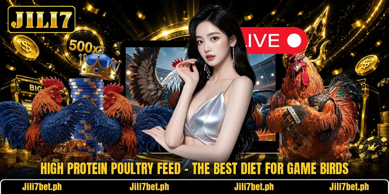 High Protein Poultry Feed - The Best Diet For Game Birds High Protein Poultry Feed - The Best Diet For Game Birds