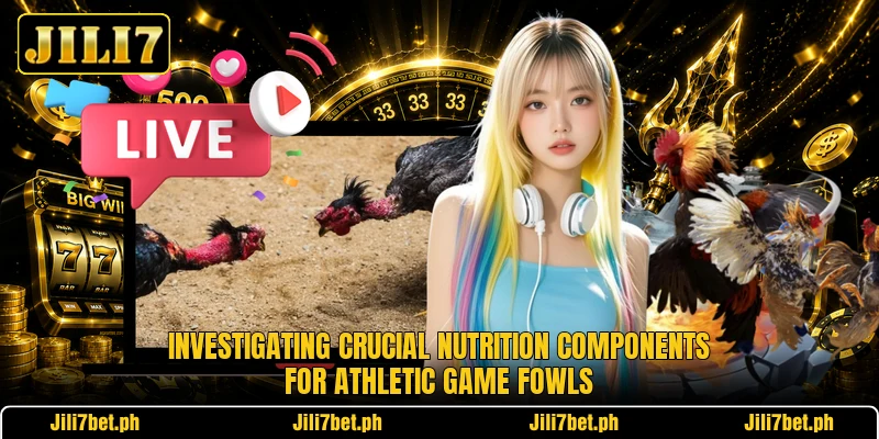 Investigating crucial nutrition components for athletic game fowls Investigating crucial nutrition components for athletic game fowls