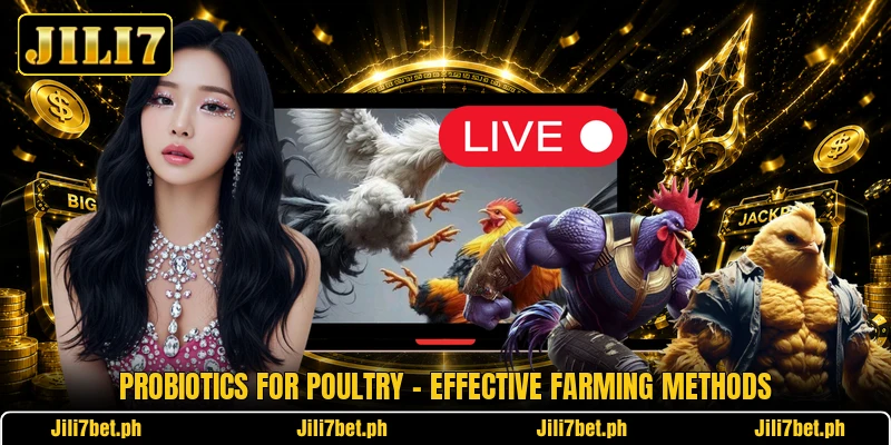 Probiotics For Poultry - Effective Farming Methods Probiotics For Poultry - Effective Farming Methods