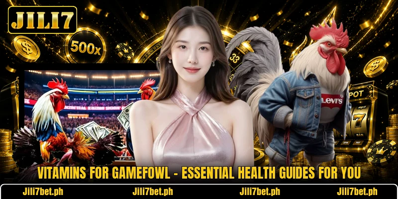 Vitamins For Gamefowl - Essential Health Guides For You Vitamins For Gamefowl - Essential Health Guides For You